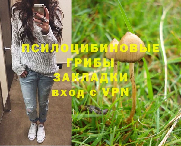 мяу мяу кристалл Мегион