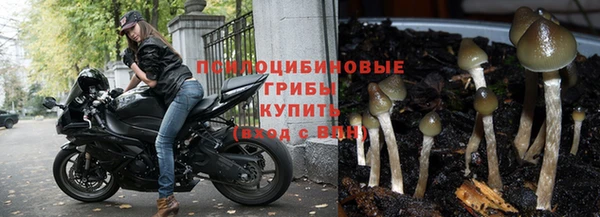 эйфоретик Медногорск