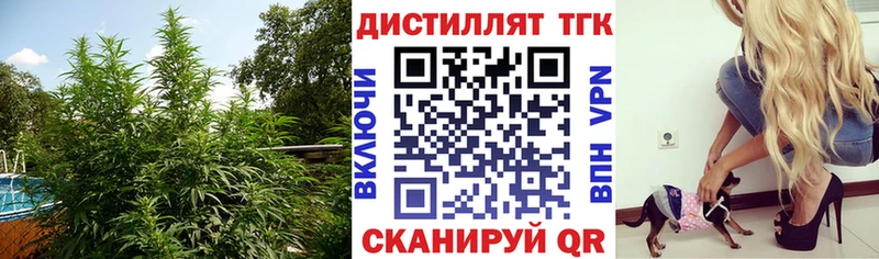 дарк нет официальный сайт  Тетюши  Дистиллят ТГК концентрат  блэк спрут маркетплейс 